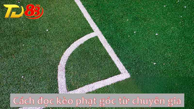 Cách đọc kèo phạt góc từ chuyên gia