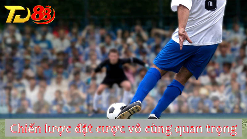 Chiến lược đặt cược vô cùng quan trọng